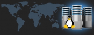 Linux Hosting Linux Hosting